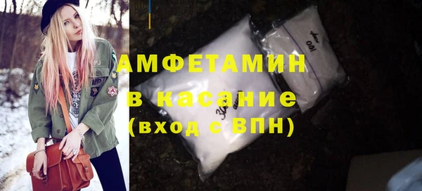 шишки Белоозёрский
