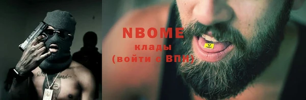 хмурый Бородино