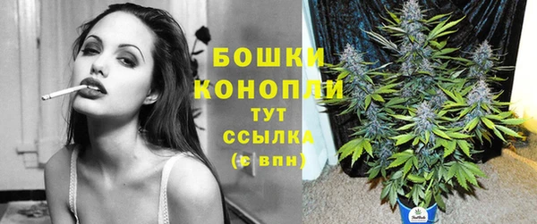 спиды Богородицк