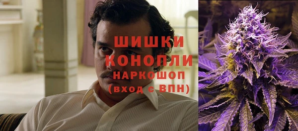 спиды Богородицк