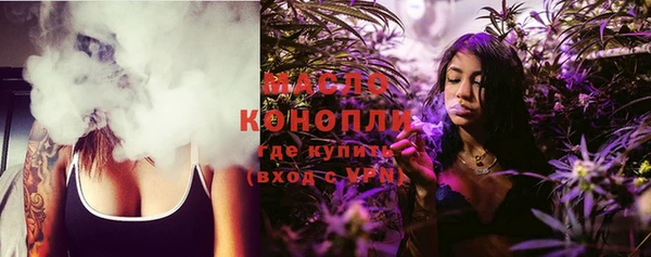 хмурый Бородино