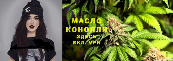 хмурый Бородино