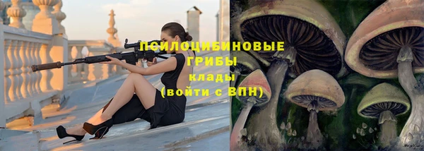 гидра Бронницы
