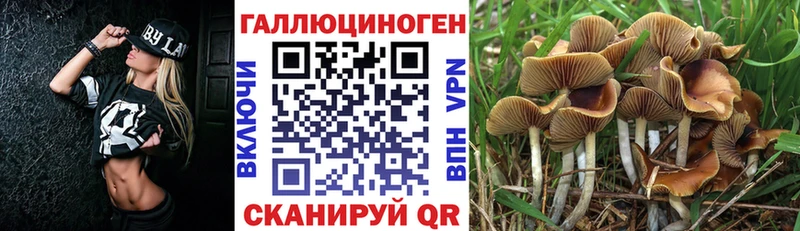 купить наркотики сайты  Гаврилов-Ям  Псилоцибиновые грибы прущие грибы 